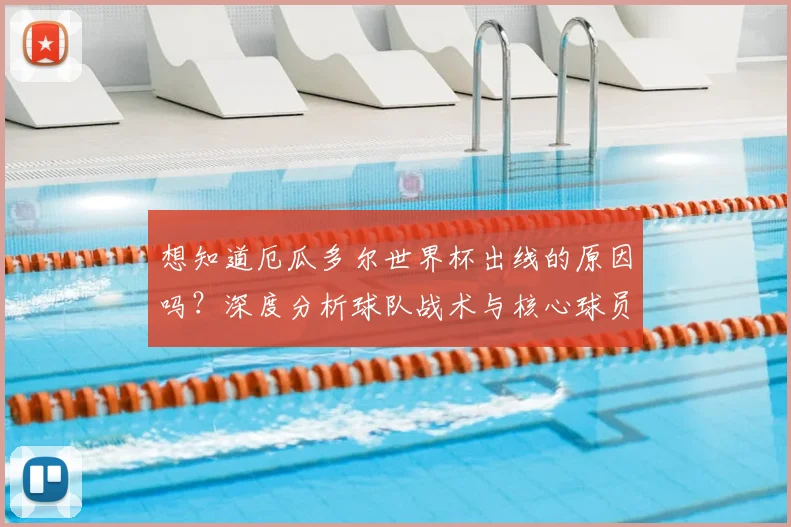 想知道厄瓜多尔世界杯出线的原因吗？深度分析球队战术与核心球员