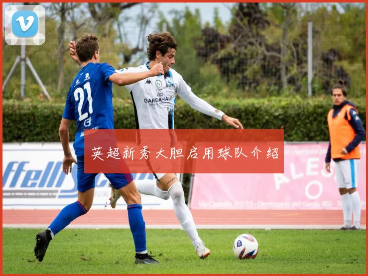 英超新秀大胆启用球队介绍