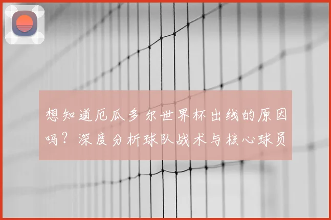 想知道厄瓜多尔世界杯出线的原因吗？深度分析球队战术与核心球员
